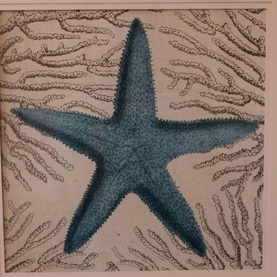 Set of Starfish Coastal Wall Art (2)