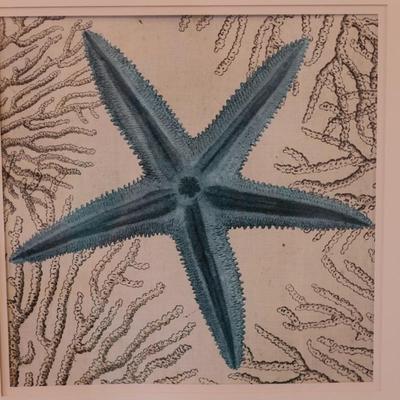 Set of Starfish Coastal Wall Art (2)