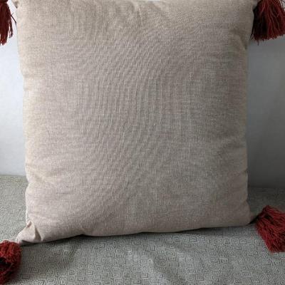 Fall Throw Pillows