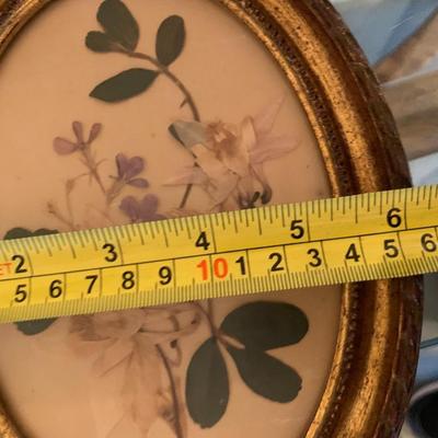 Vintage pair of framedpressed flowers