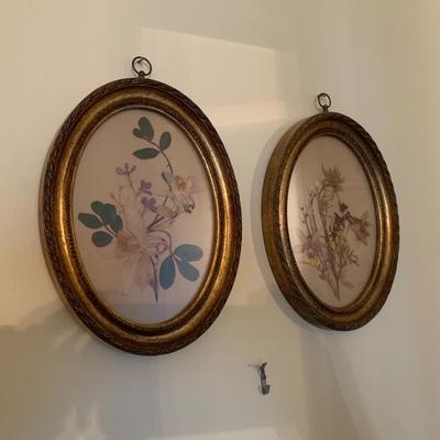 Vintage pair of framedpressed flowers