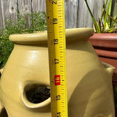 Outdoor Pots & Plants (3)