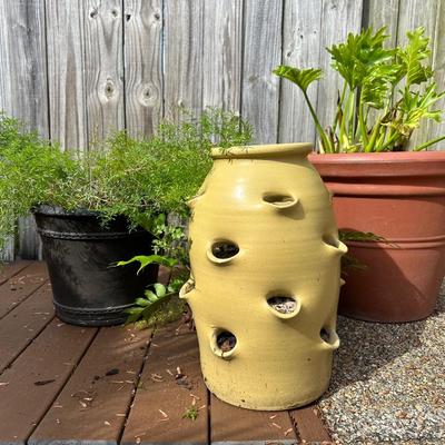 Outdoor Pots & Plants (3)