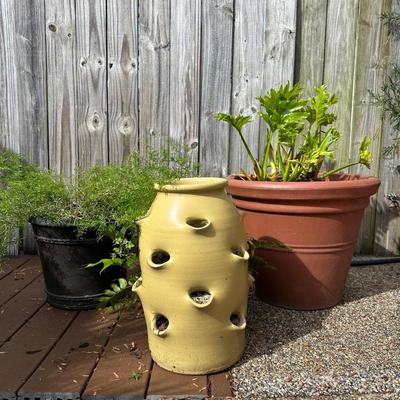 Outdoor Pots & Plants (3)