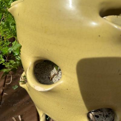 Outdoor Pots & Plants (3)