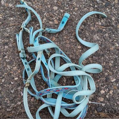 Assorted Horse Tack