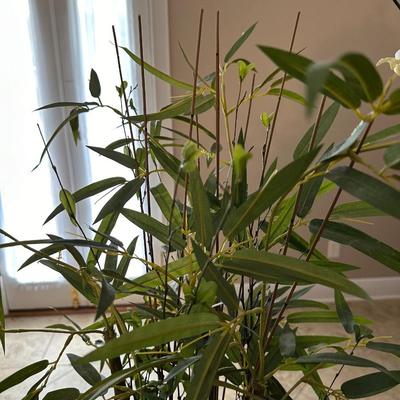 Two Artificial House Plants (2)