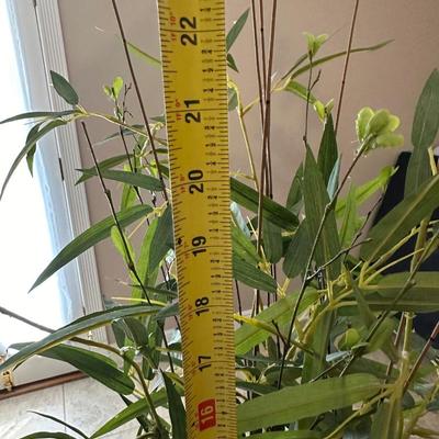 Two Artificial House Plants (2)