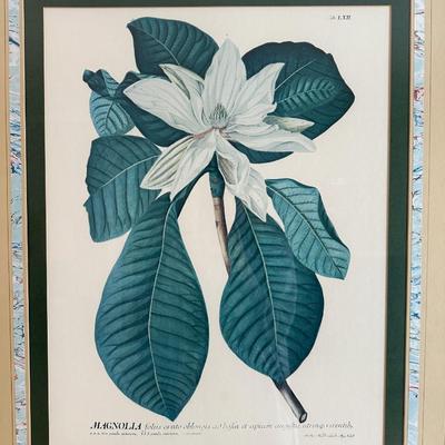 Large Framed Magnolia Piece