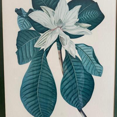 Large Framed Magnolia Piece