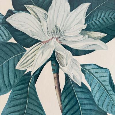 Large Framed Magnolia Piece