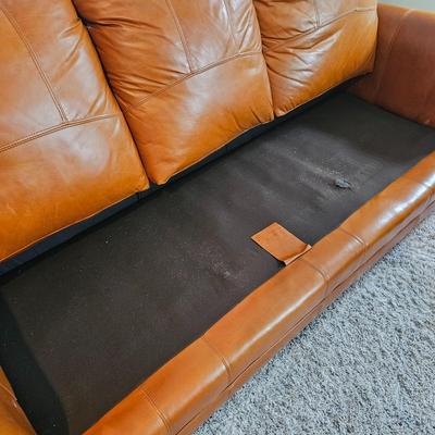 Brown Leather Couch (BLR-DW)