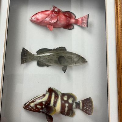 957 Hand painted & Hand carved Fish in Shadow Box by John Gresser