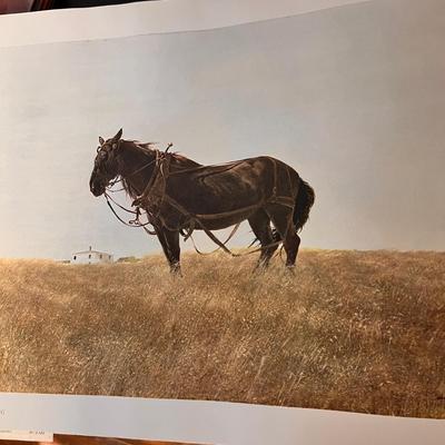 Great Lot Coffee Table Books - Vintage & Contemp.