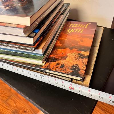 Great Lot Coffee Table Books - Vintage & Contemp.