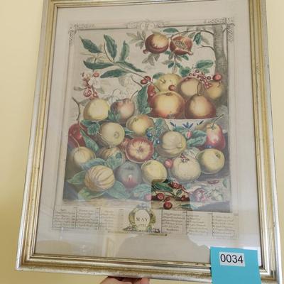 Framed May 1732 Robert Furber Fruit of the Month Print 17X21