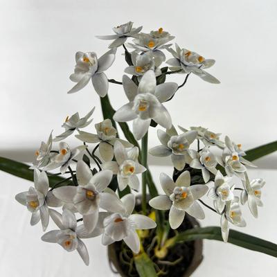 994 Metal Flower Sculpture of Paperwhite Narcissus Flower