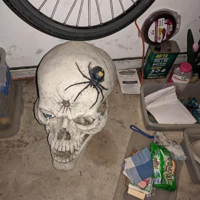 Huge (and Heavy) Ceramic Skull Head