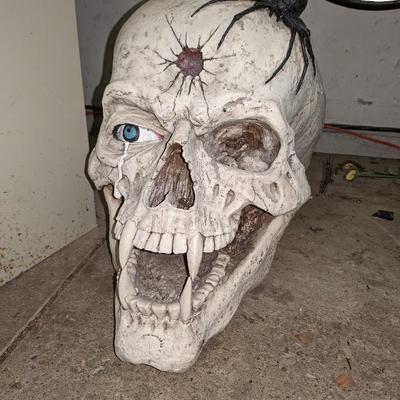 Huge (and Heavy) Ceramic Skull Head