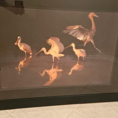 "Dance of Dawn" Signed and Numbered Photograph by Alan S. Maltz (BLR-DW)