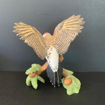 Lot 177: Lenox Collection: Hooded Warbler, Northern Mockingbird, Northern Flicker