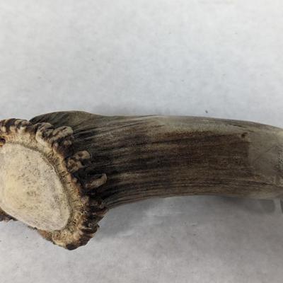 Stag Handled Fixed Knife