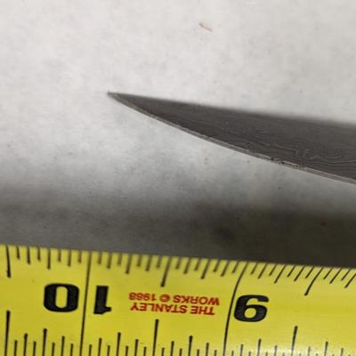 Stag Handled Fixed Knife