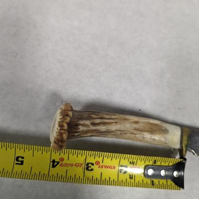 Stag Handled Fixed Knives