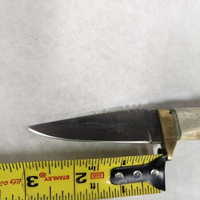 Stag Handled Fixed Knives