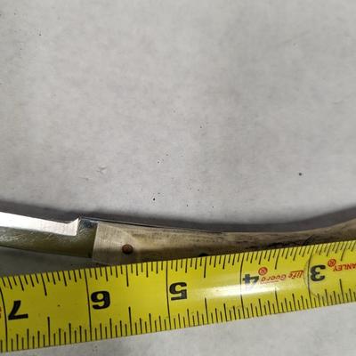 Stag Handled Fixed Knives