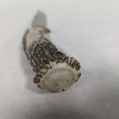 Stag Handled Fixed Knife