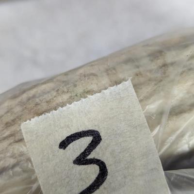 Fixed Blade Stag Handled Knives Choice 3