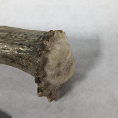 Fixed Blade Stag Handled Knives Choice 4