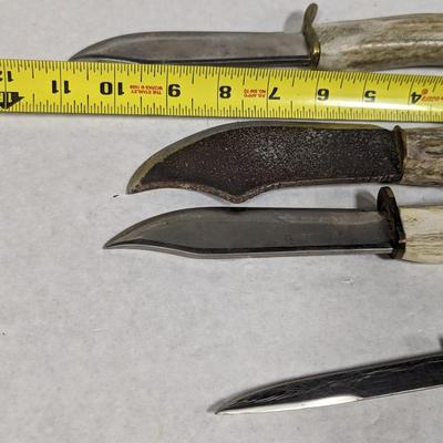 Fixed Blade Stag Handled Knives Choice 5