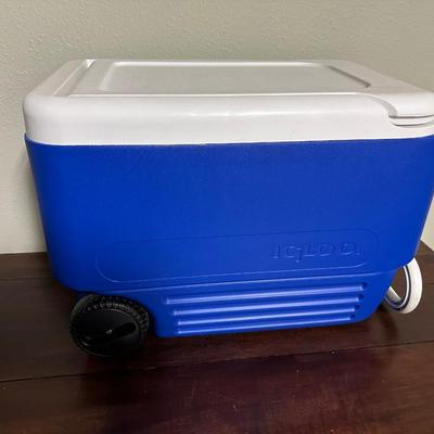 Igloo Ice Chest