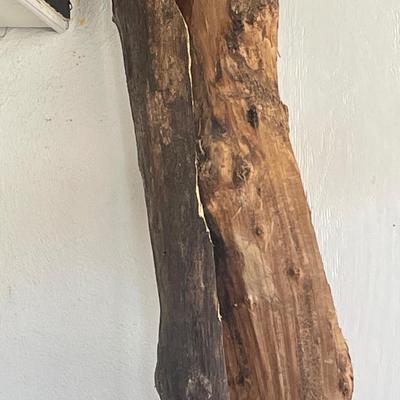 2 Locust Posts Store Display