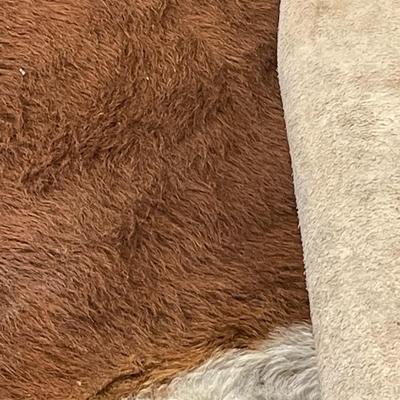 Large Cowhide Rug