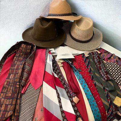 Menâ€™s Hats & Huge Ties Lot
