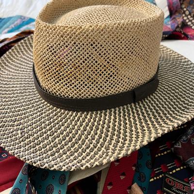 Menâ€™s Hats & Huge Ties Lot