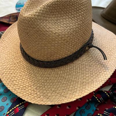 Menâ€™s Hats & Huge Ties Lot