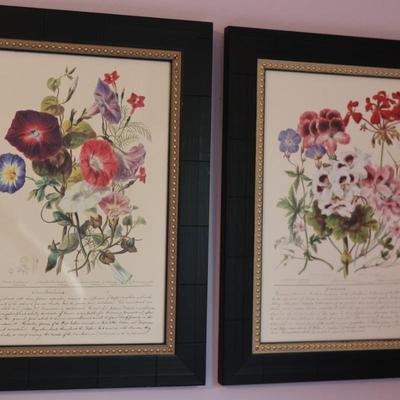 Vintage Framed Floral Prints (2)