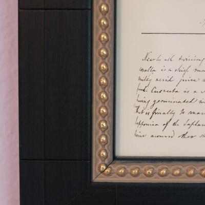 Vintage Framed Floral Prints (2)