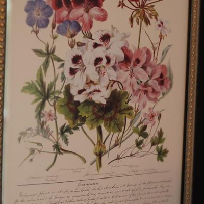 Vintage Framed Floral Prints (2)