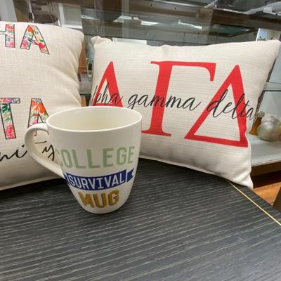 Fraternity Pillows and Mug Lot