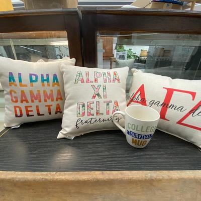 Fraternity Pillows and Mug Lot