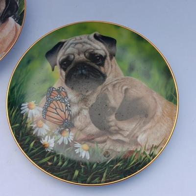 Danbury Mint Collectible PUG DOG plates - Pug Love & Pug Eyed