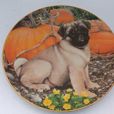 Danbury Mint Collectible PUG DOG plates - Pumpkin Patch Pug & Poppy Love
