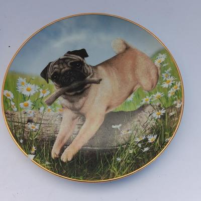 Danbury Mint Collectible PUG DOG plates and PUG clock - Pug in play & Prairie Pug