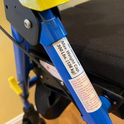 Medline Empower Rollator w 8in Wheels Blue