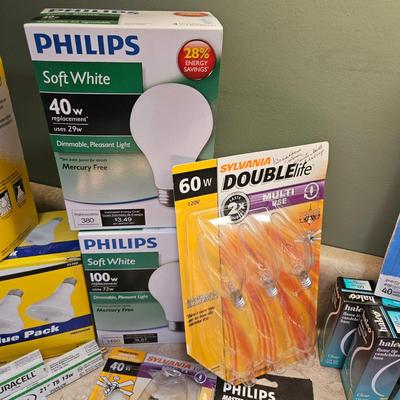 Light Bulb Assortment (L-DW)